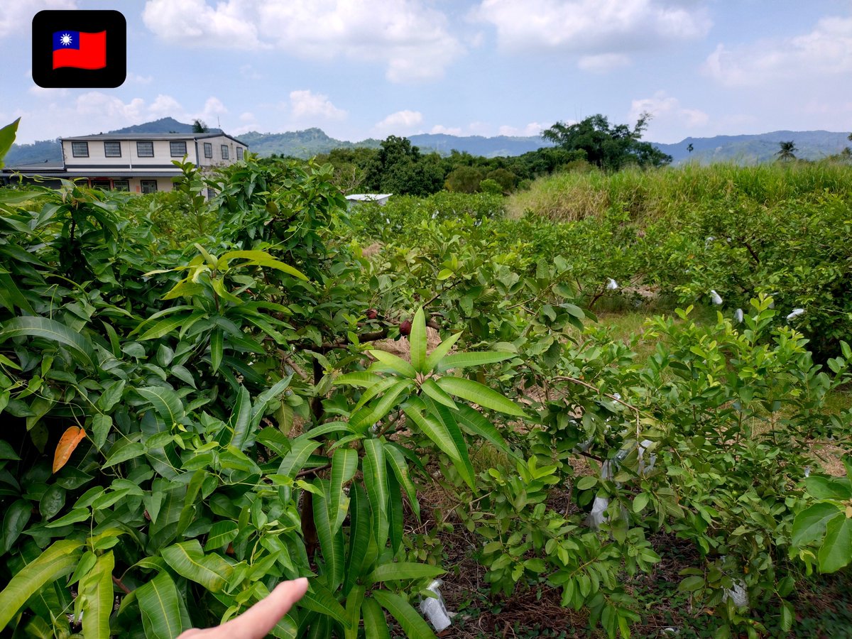 molester_addict's tweet photo. 学生時代、休みになるといつも海外に行ってたんだけど結構裏垢的なことを色々やってたなぁ…と、遅い夏休みで海外に来て思い出しました。 https://t.co/821xnC4vZL