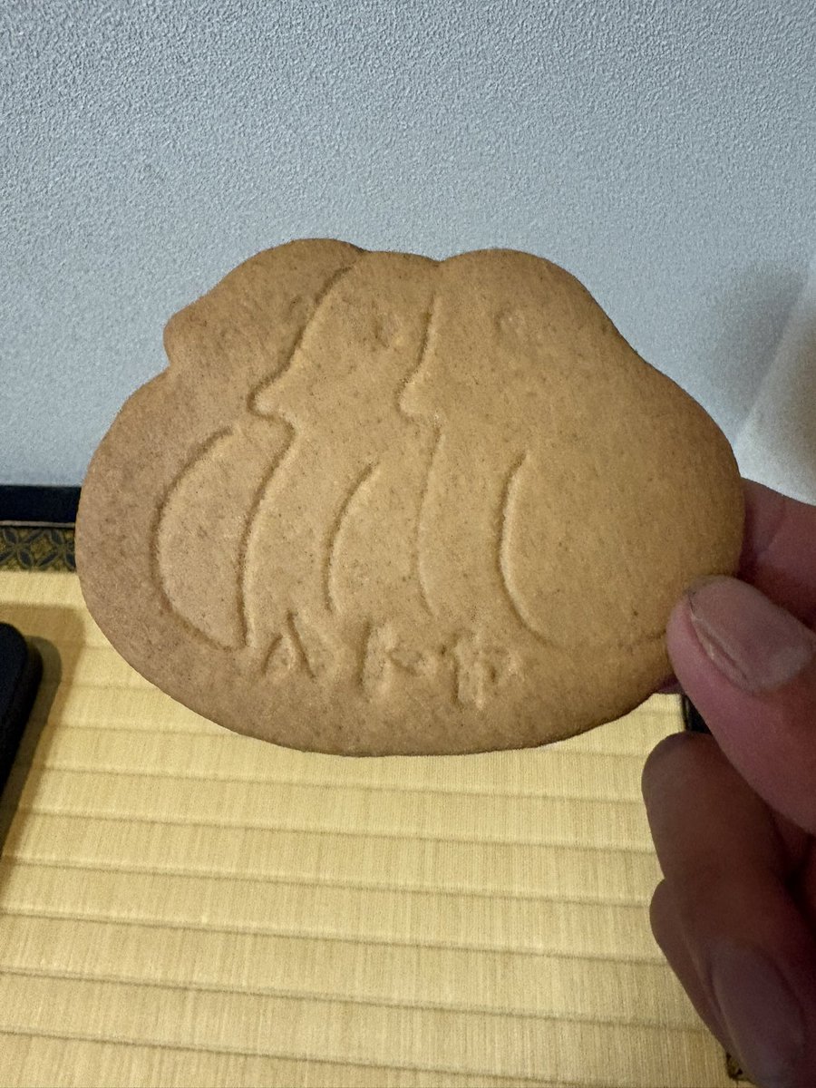 take_king_mod's tweet photo. めちゃくちゃ見ずらいけど夜の海とハトヤサブレ
街灯と街の灯りも相まって景色最高❗️
風めちゃくちゃ強いけどちょうど涼しくていつまでも居れる笑
#桜満開バスツアー https://t.co/t3CdRFo8Hr