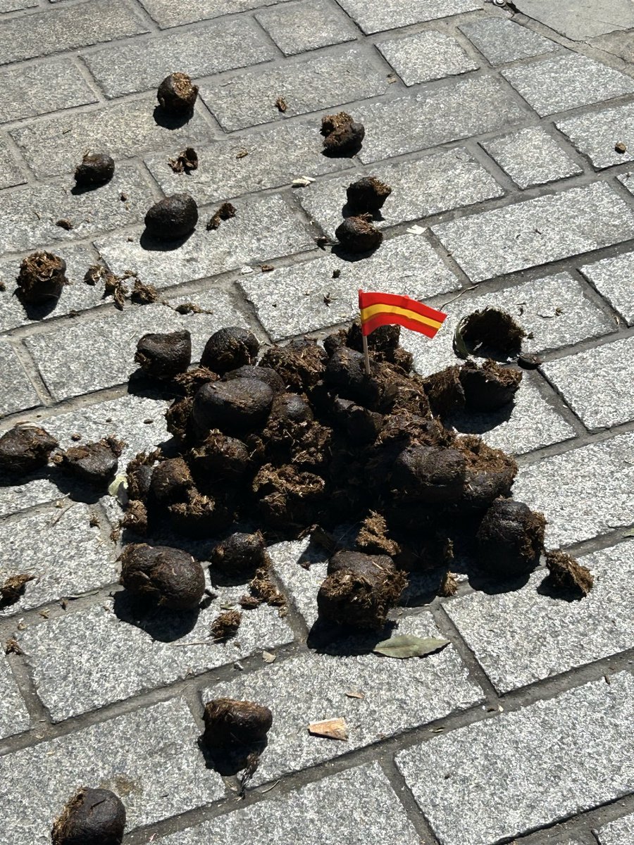 teemature's tweet photo. @Alberou1981 @HatimelMourabit Oui, je ne comprends pas, le l'aime pas. Et cela ne fait pas honneur d'être étudié, tout simplement. l'espagnol,c'est une langue de 💩 https://t.co/3u1k53pwjl