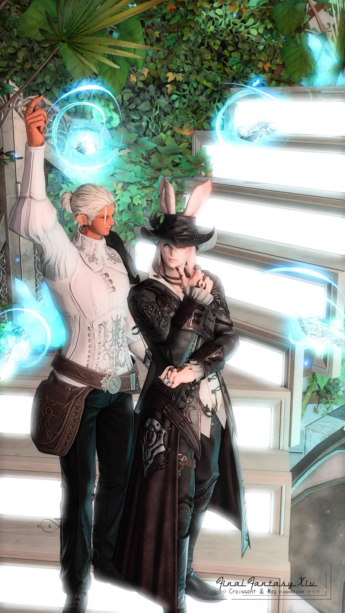 𝑀𝑎𝑦𝑢🐈 (@ff14mayu_) / X