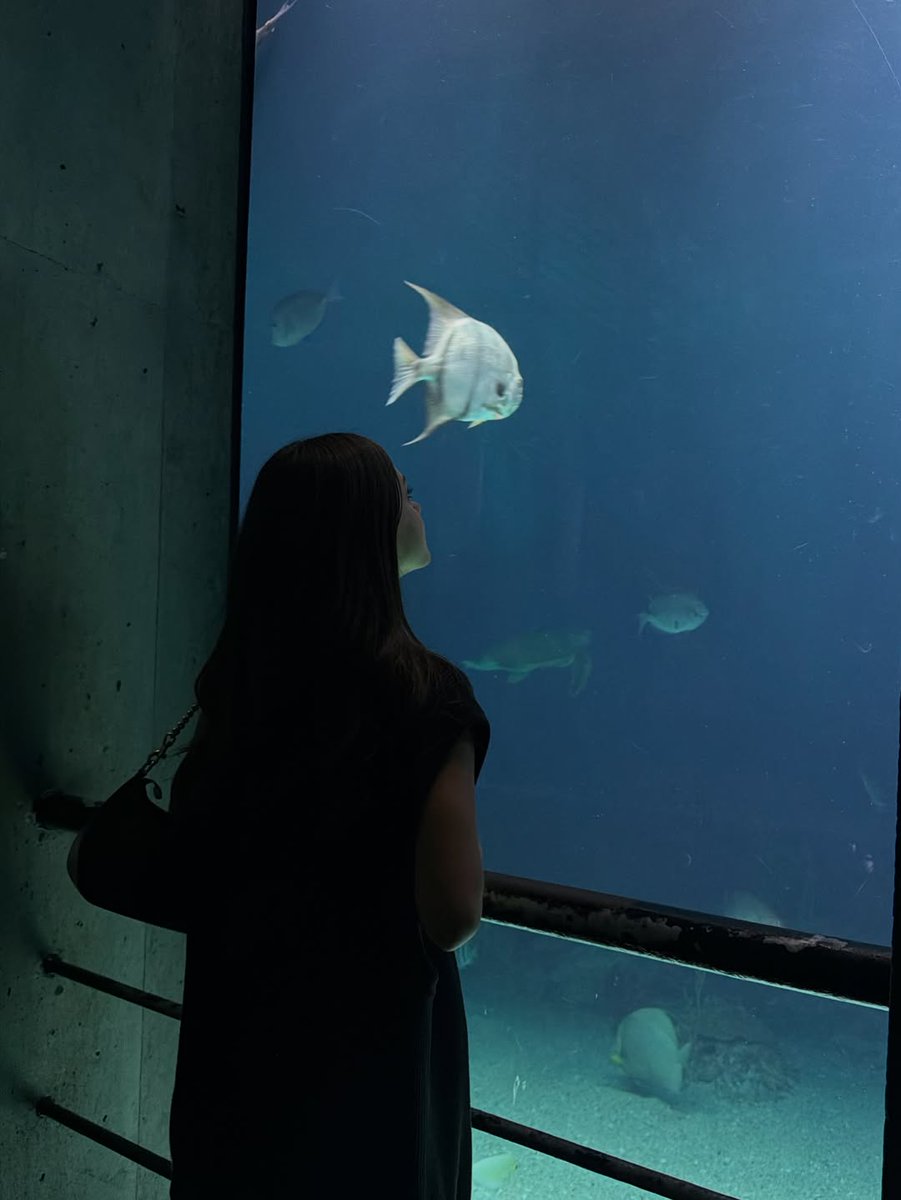 retrospektif's tweet photo. Heeeeere fishy fishy 

#explore #travel #aquarium #baltimore 

Time to place your bets on what you think they could’ve possibly been laughing so hard about 

(Level: impossible)

FLASH FLASH A HUNDRED YARD DASH 

I promise there was a really big fish in there 

This was https://t.co/xyzIbgych0
