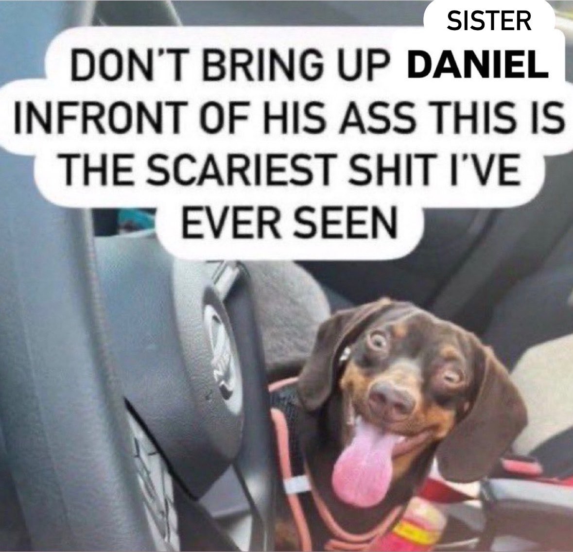 lavenderpheal's tweet photo. https://t.co/SPW33fWL75