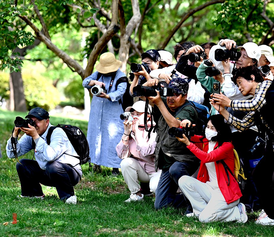 amela186481's tweet photo. [Exciting news! Our Photography Club's weekend nature shoot is open to all members this Sat, 10AM at City Central Park. Bring your camera u0026 join us for amazing shots and fun chats!]， https://t.co/SGFQb5oFrn
