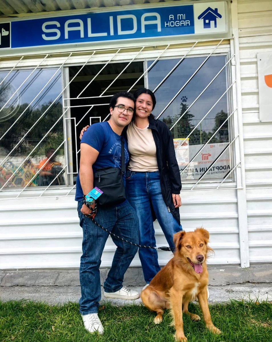 ctcdelmetro's tweet photo. En el #CTCDelMetro, celebramos cada historia de adopción como un nuevo comienzo. Hoy, queremos agradecer profundamente a la nueva familia de Tin. por darle la oportunidad de vivir nuevas aventuras, llenas de amor.🐶 ✨ https://t.co/uC1EQCFkJU