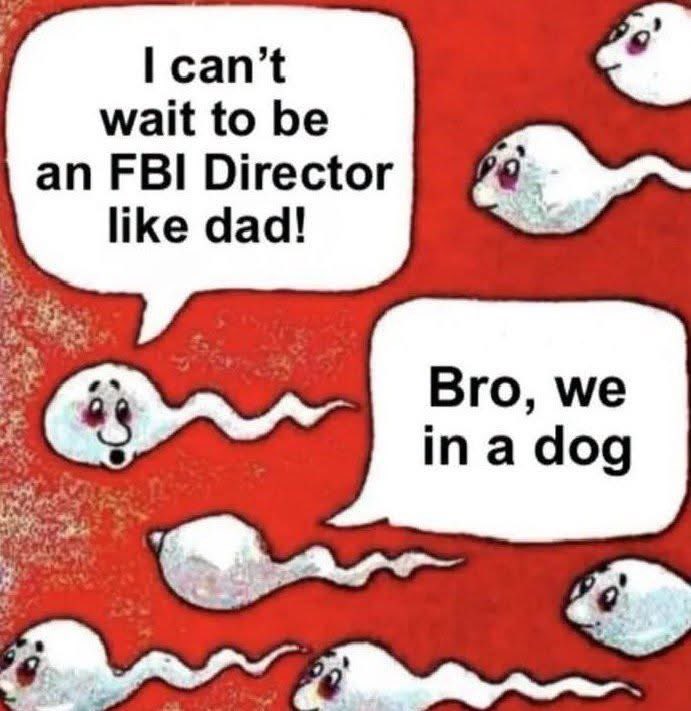 boujiebaddie's tweet photo. Every MAGA https://t.co/ygzayPyZJl