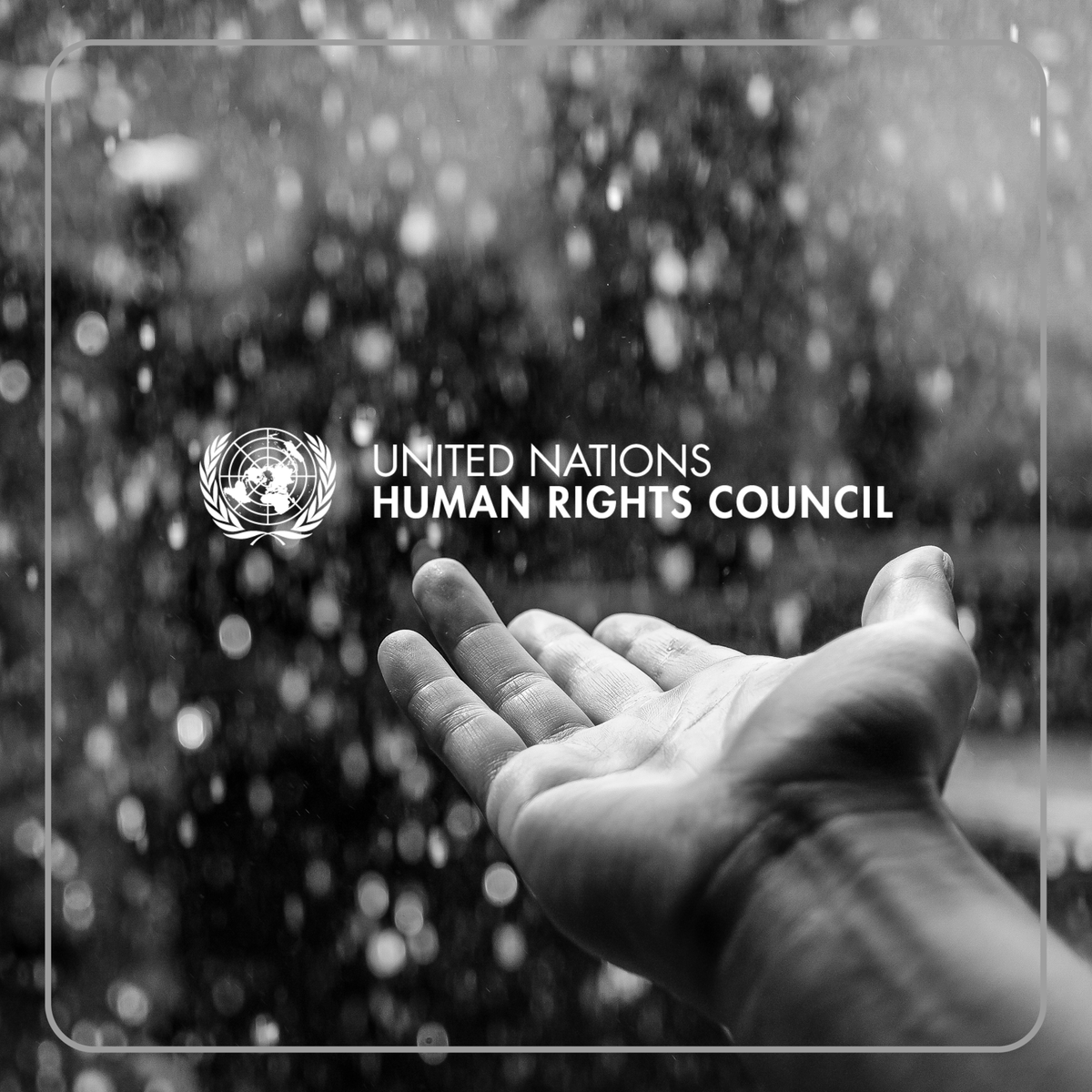UN_HRC's tweet photo. Join the conversation. https://t.co/gISCgTY3W7