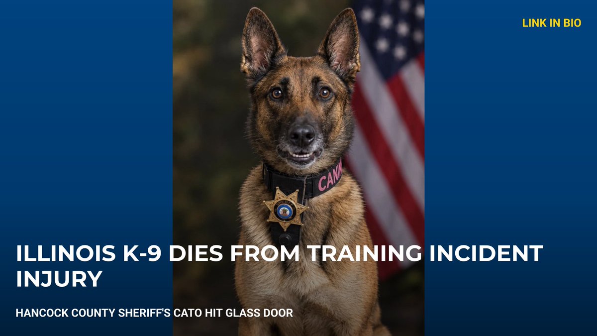 PoliceOne's tweet photo. Ill. K-9 dies following training incident | Link in bio #police https://t.co/FOdbly2yee