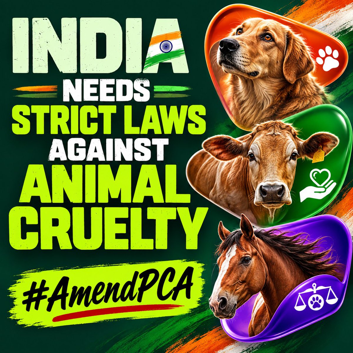dilthi_gujarati's tweet photo. @joedelhi @gupta_rekha @DelhiPolice @DelhiPolice will you act? Arrest this criminal in Delhi.

@KapilMishra_IND @gauri_maulekhi 
@JesudossAsher
Enough of your silence on amendment of PCA ACT 

When will you raise your voices to amend strict laws against animal Cruelty?

#AmendPCA https://t.co/p3ai3fV2pR