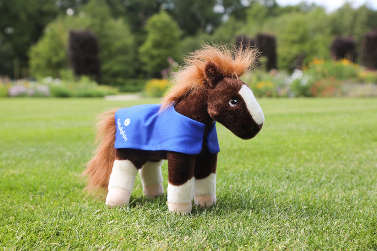 godolphin's tweet photo. π¬π§π¦πͺ Celebrate #TeamGodolphin's brilliant day of racing @NewburyRacing yesterday with a #ShopGodolphin purchase! π§’
ποΈ #OnecolourOneteam | #WearTheBlue | https://t.co/nzOf8BAYae https://t.co/lkotHvfLpa