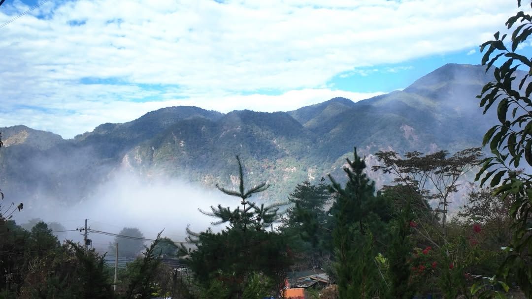 violetnelsonpbe's tweet photo. Taichung Heping, Obin

A cool five-needle pine forest with shelter canopies and a spacious lawn—an ideal choice for group camping. Follow Ai Camping to discover more quality campsites. https://t.co/PmQFdrS6jy