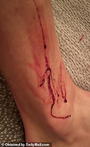 KyleCastilihl's tweet photo. what red flag in someone do you think goes unnoticed most? https://t.co/OTdKURwmcj