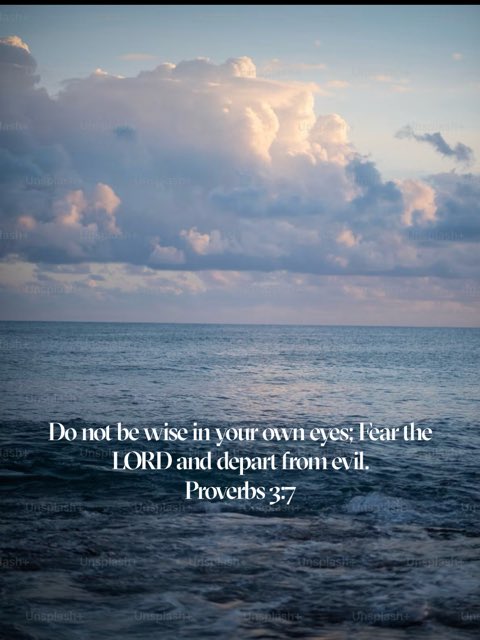 ToussauMike's tweet photo. Being wise in your own eyes means that a person thinks they’re wisdom as better and greater than God’s. But as we trust God, we are drawn more to Him and further from evil. https://t.co/J2u7JTAdAV