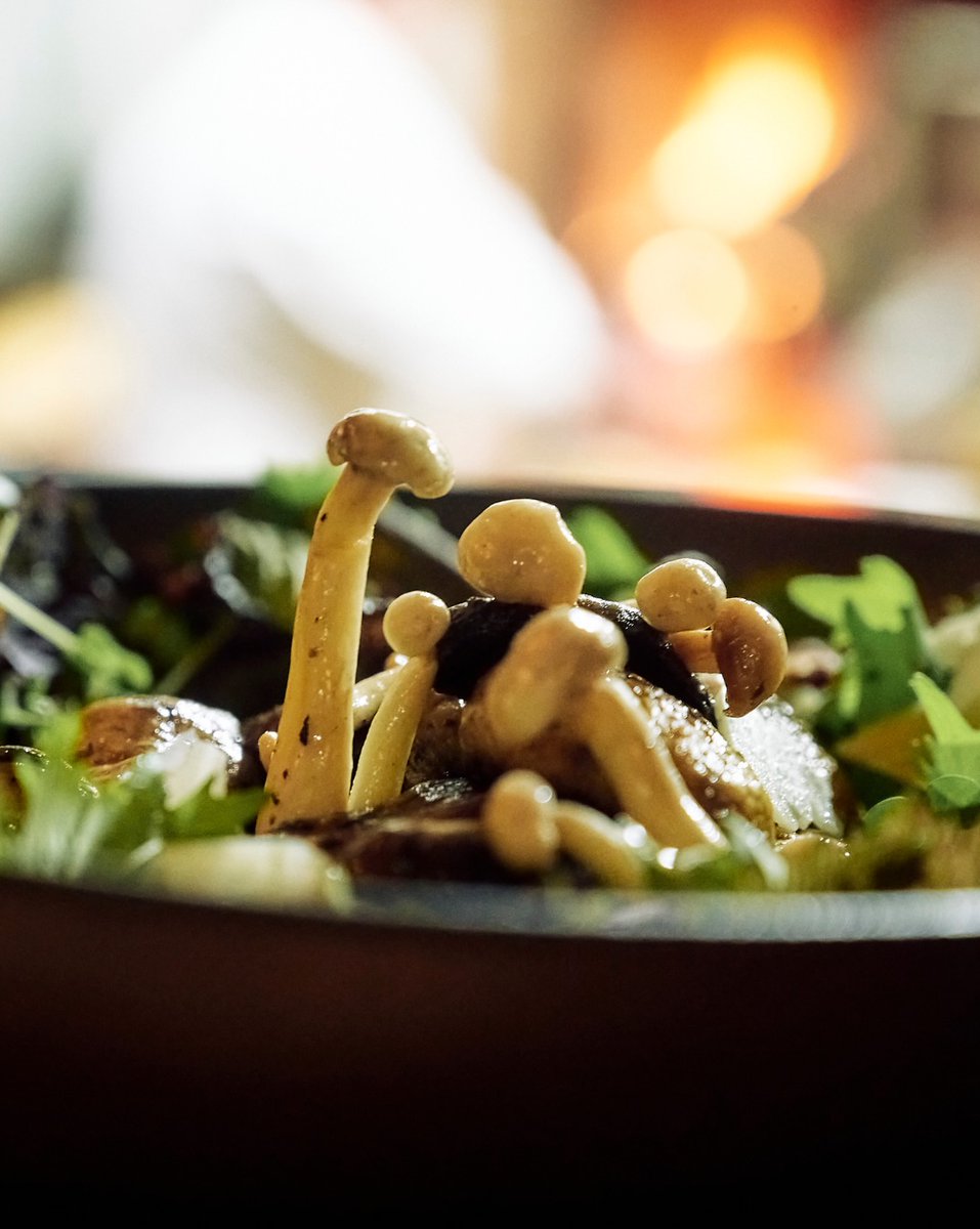 puntamitaMx's tweet photo. Juan Manuel Guizzo Culinary Director of Punta Mita, joins us for XV Punta Mita Gourmet &amp; Golf, bringing a deep Italian influence to every dish, blending European technique and tradition with the vibrant spirit of the Mexican Pacific. https://t.co/d1Kj4hmkHK