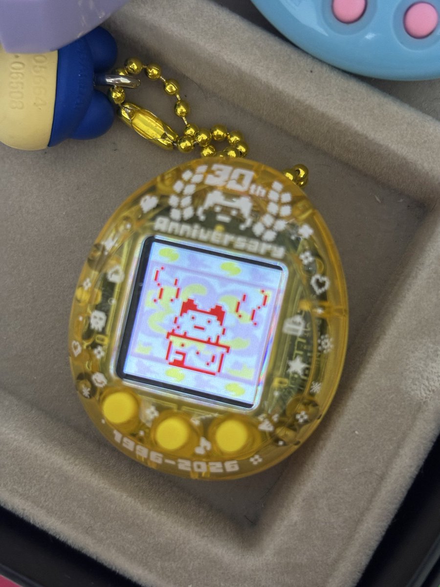 gontaka_'s tweet photo. 赤たまからのエンたまからのウラたま！
しりぷりっちに会えたの嬉しかった

ユニのイベントは負けでしたʕ •́؈•̀ ₎
最近ユニもう一台あってもいいなと思いつつある… https://t.co/WLJ80GTj3G