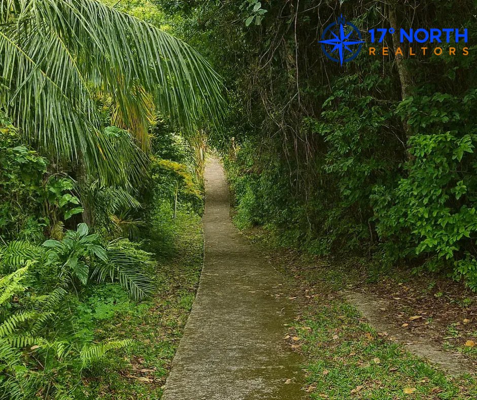 17_DegreesNorth's tweet photo. 🌴 Land for Sale – Hamilton Estate, Nevis! 10,890 sq. ft. of fertile, elevated land with water, electricity, paved access &amp; natural ghaut. Ideal for agriculture or a home, just 5–7 mins from Charlestown. US$24,306 | EC$65,340 📞 869-662-9259 / https://t.co/0SiFs1pbCd https://t.co/IMIPvGHwHk