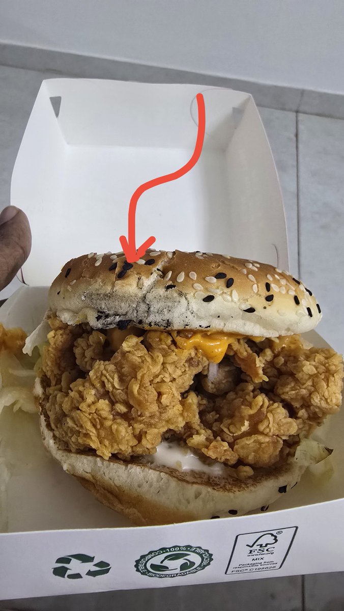 0xJe33vaa's tweet photo. @KFC_India is this normal ? Or ? 
I asked @ChatGPT , it replied " Don't eat the burger, even if it smells normal." Ordered via @zomato . I couldn't report or get help anywhere tho , I don't want refund or something .. im confused .. Just sharing here .. https://t.co/rwp1nU6SCl