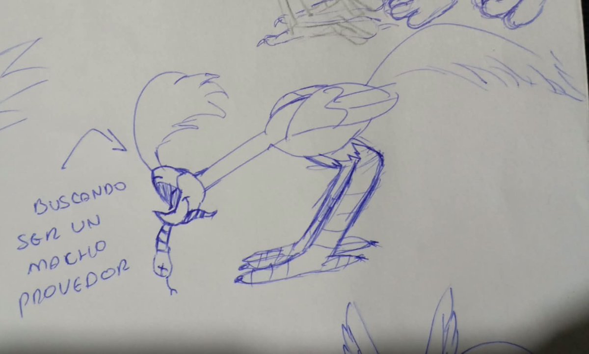 PATOSHHH_18's tweet photo. En fin, los novios 🩷 garabatos en clase :b #wileroad #wilerunner #roadrunner #coyote https://t.co/0g9v5Sa4ey