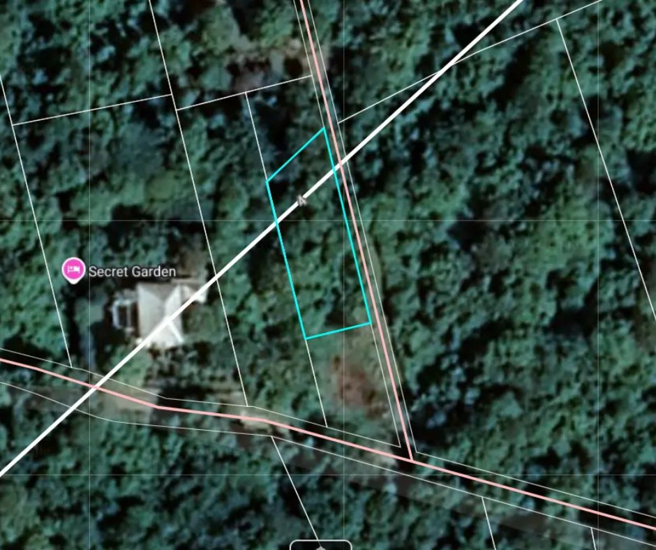 17_DegreesNorth's tweet photo. 🌴 Land for Sale – Hamilton Estate, Nevis! 10,890 sq. ft. of fertile, elevated land with water, electricity, paved access &amp; natural ghaut. Ideal for agriculture or a home, just 5–7 mins from Charlestown. US$24,306 | EC$65,340 📞 869-662-9259 / https://t.co/0SiFs1pbCd https://t.co/IMIPvGHwHk