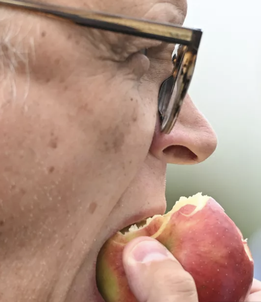 MarioLeeb22386's tweet photo. S'il se met à croquer des pommes pour nous dire que sa politique sera d'inspiration chiraquienne, c'est au sens hermétique du terme qu'on doit l'entendre.

Au cœur du fruit se trouve l'étoile à cinq branches formée par la loge où se trouvent les pépins.
Pentagramme également au cœur des rituels de la Golden (pomme) Dawn, ordre para maçonnique par lequel est passé Aleister Crowley.

Croquer la pomme, c'est manger le pentagramme et les valeurs qu'il incarne. C'est le message que nous transmettait Chirac à l'époque, repris ici par celui qui s'en réclame.

Dans La dernière tentation du Christ, on voyait Jésus mordre, lui aussi, une pomme d'où s'écoulait le sang du sacrifice, l'étoile représentant aussi l'être humain (tête, bras et jambes).  La république est une religion sacrilège ; ses serviteurs les apôtres du reniement du baptême et de la foi. Ils ne manquent jamais une occasion de nous le rappeler.