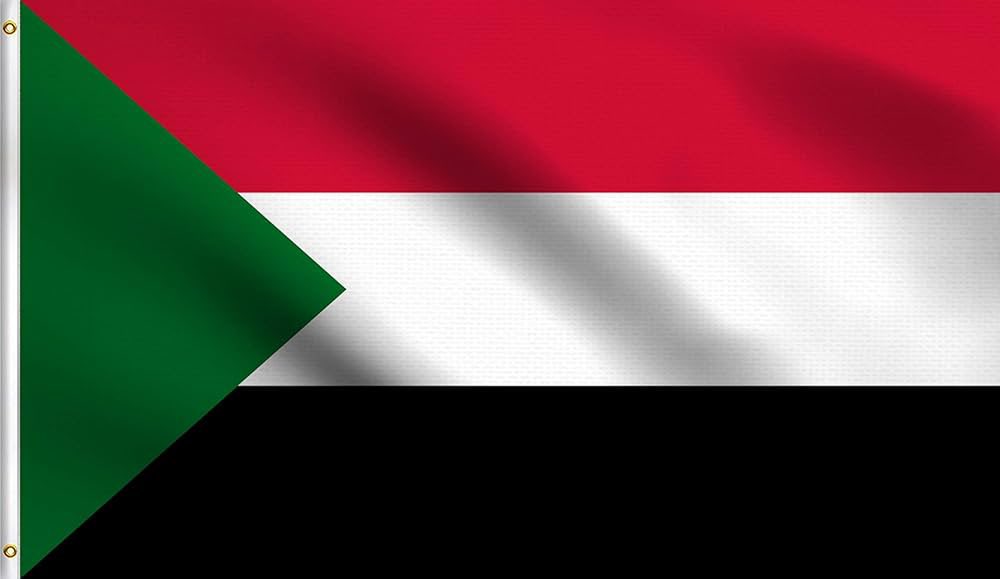 SaudiNews50's tweet photo. الجيش السوداني يستعيد الأرض، ويجبر الدعم السريع على الهروب:

•انسحاب قوات الدعم السريع من عدة مواقع في غرب كردفان.

•استعادة منطقتي أبوقعود وأم صميمة في غرب كردفان.

استرداد منطقة تنة والتقدم باتجاه مدينة سودري في شمال كردفان.

- https://t.co/xXgYG2zDwX