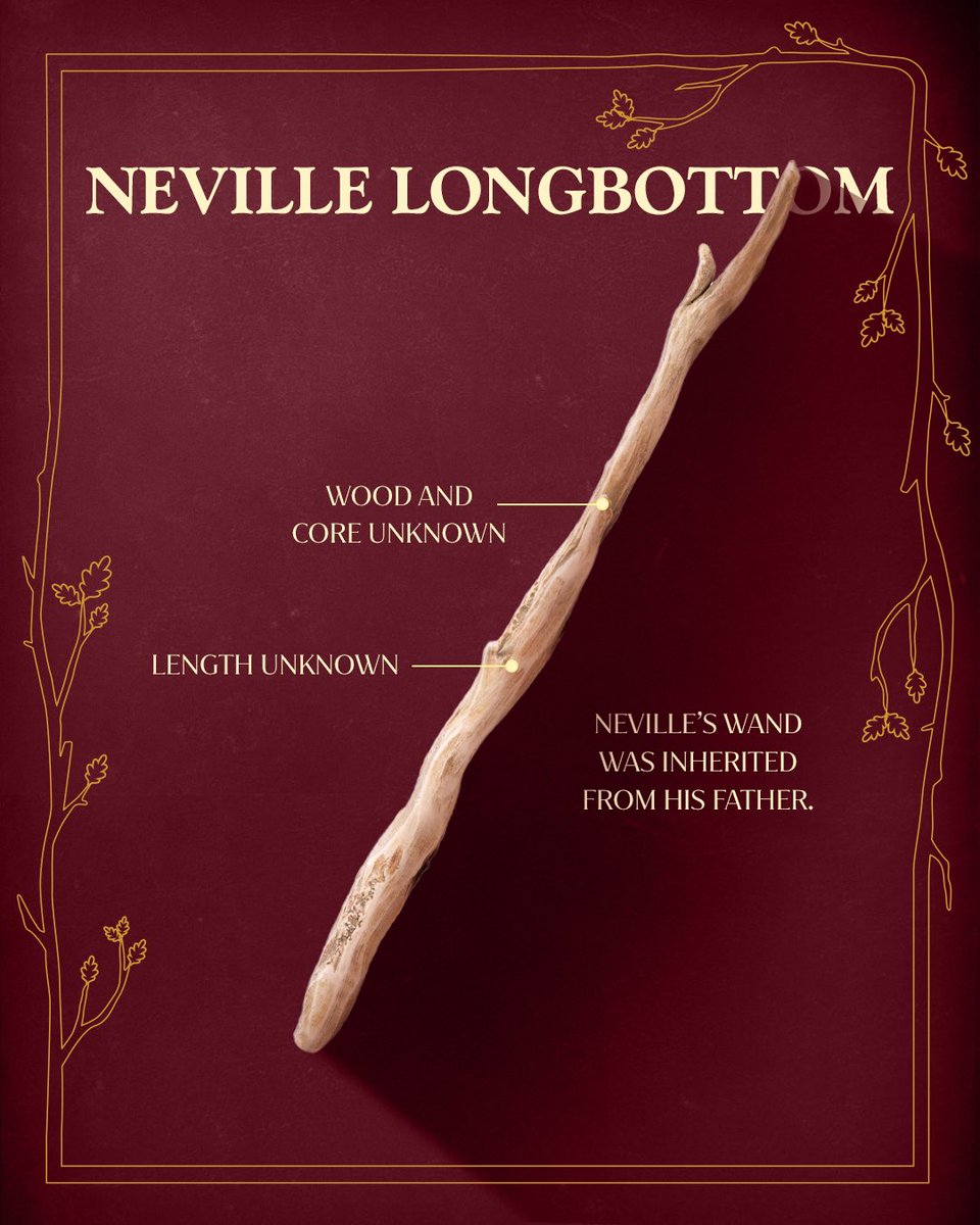 cacocardassi's tweet photo. As varinhas de Harry, Ron, Hermione, a Neville e Draco da série Harry Potter foram oficialmente reveladas pela página de Harry Potter! https://t.co/YoiVQSjhmt