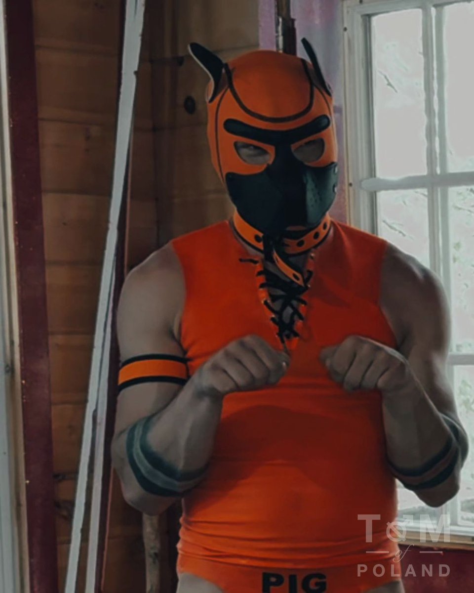 tom__of__poland's tweet photo. Go big or go home. 🧡
My first full-length video is coming — and I’m not starting small.
For my first one, I went straight for a collab with @SRingedman 

Part 1 drops tomorrow on JFF. https://t.co/lOqogUw4tp