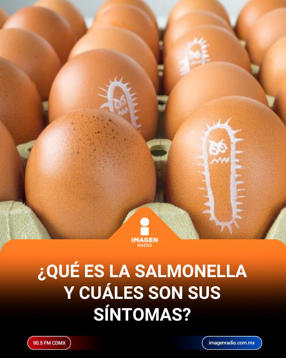 Imagen_Mx's tweet photo. 🦠🥚Identifica los síntomas de la salmonella a tiempo, conoce sus causas más frecuentes y descubre cómo prevenir esta gr4ve infección alimentaria hoy mismo.
https://t.co/mTWAhNgn9c https://t.co/HiOFZTI7n9