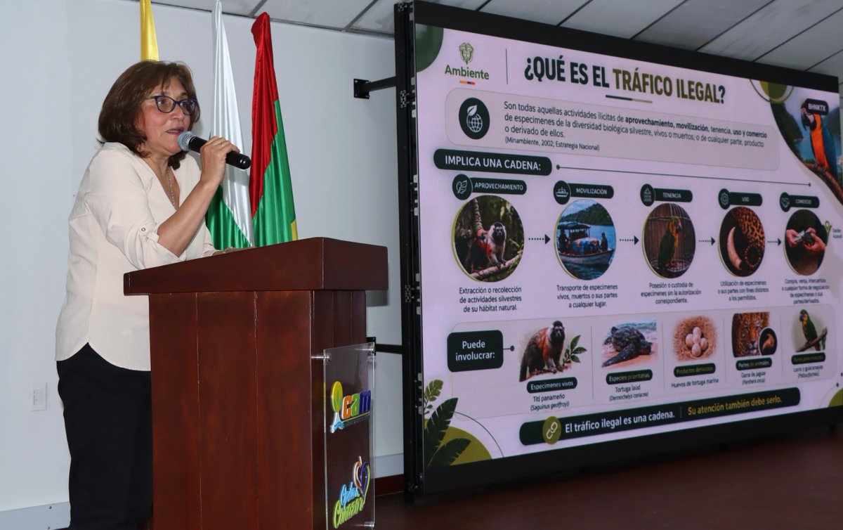 CAMHUILA's tweet photo. #NoticiasCAM 🗣️💚 | Huila fortalece acciones contra el tráfico ilegal de animales silvestres
El departamento fue escenario de un taller regional🗣️que busca consolidar el nodo Suramazónico de la Red Nacional de Prevención y Control al Tráfico Ilegal de los Animales Silvestres🚫🦜 https://t.co/nLP98zJFtF