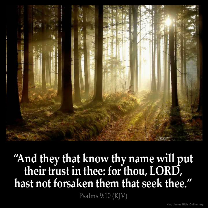 ElRoiShalom's tweet photo. #PsalmDelivery https://t.co/nYMi7wpUTf