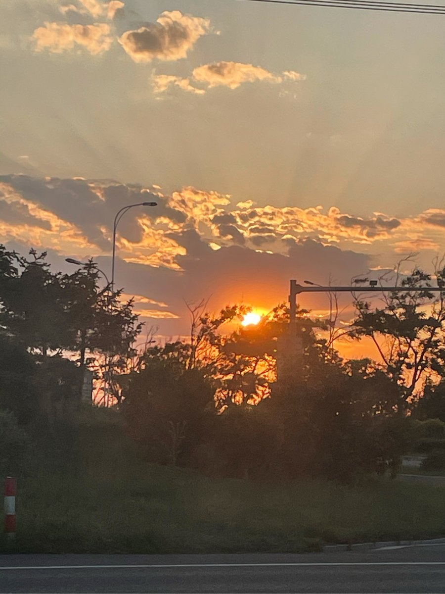 u____ria's tweet photo. On the way home, caught a flash of golden sunset spilling over old red brick walls. Street magic hit different today. https://t.co/esMccGF7L1