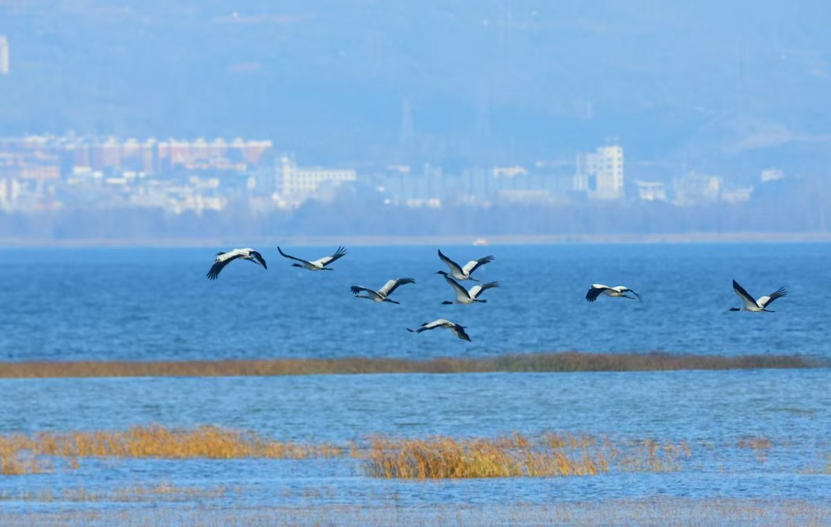 Park5647's tweet photo. New to photography Start with mastering natural light—golden hour shots take practice but make every detail pop! https://t.co/ae10AA9R9U