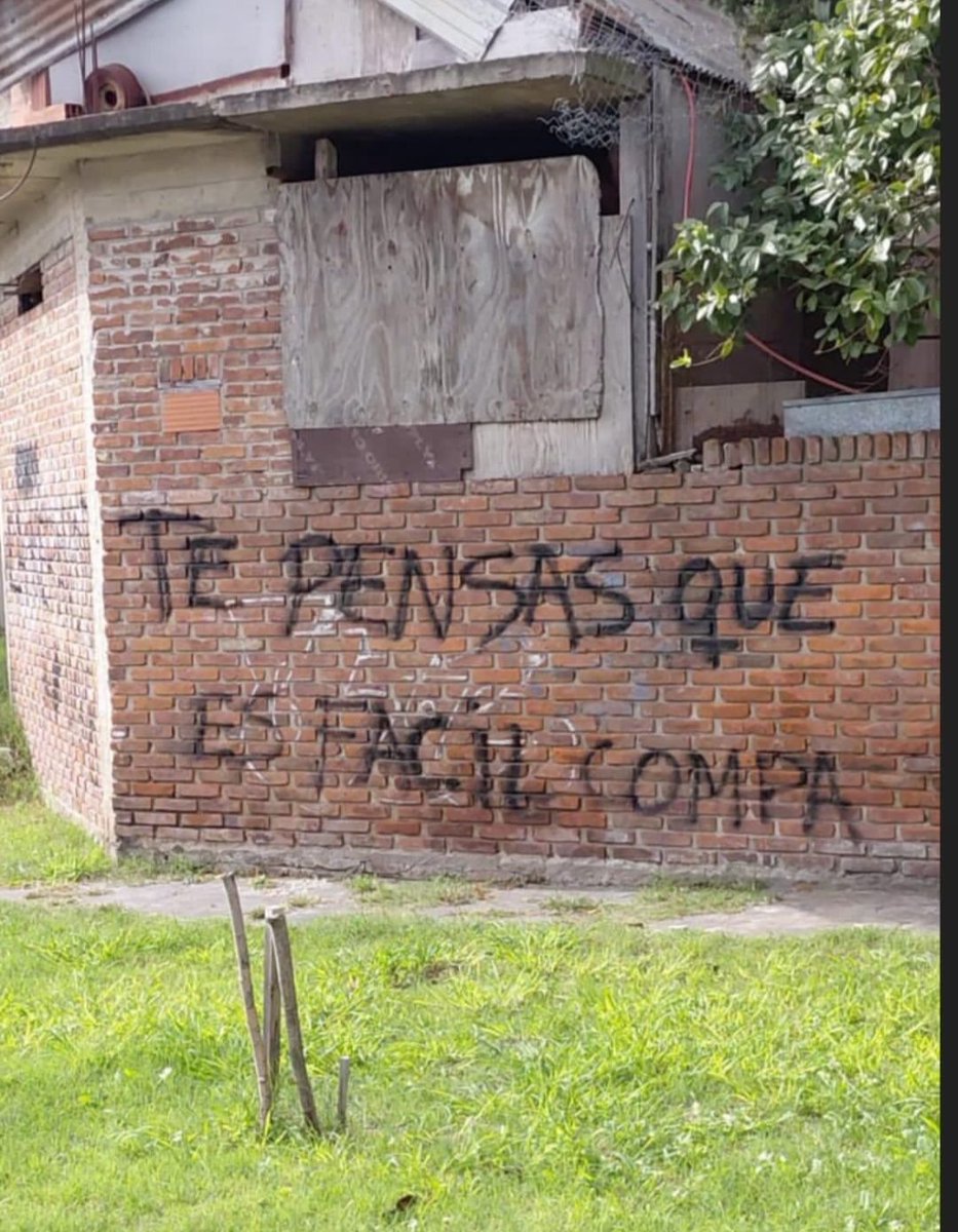 MartnLuque6's tweet photo. @TulipanARG https://t.co/QfqKRaasV4