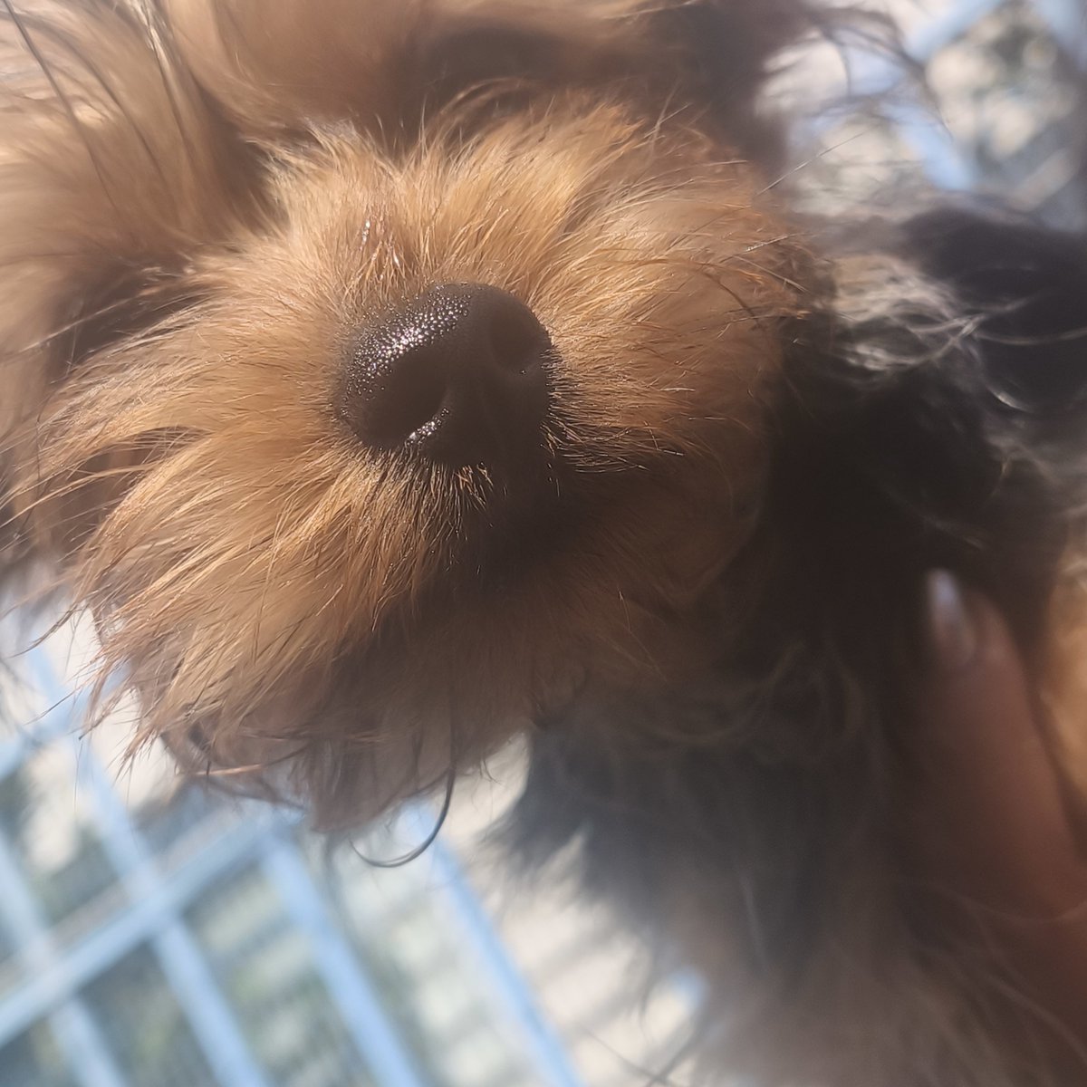 Julianyllo's tweet photo. Fotos que definitivamente recibirías si estuvieras saliendo conmigo https://t.co/5PdAwoCnxB