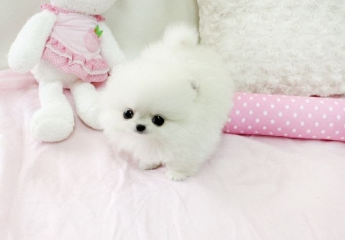 kittiefrill's tweet photo. https://t.co/rS9hQoJlGy