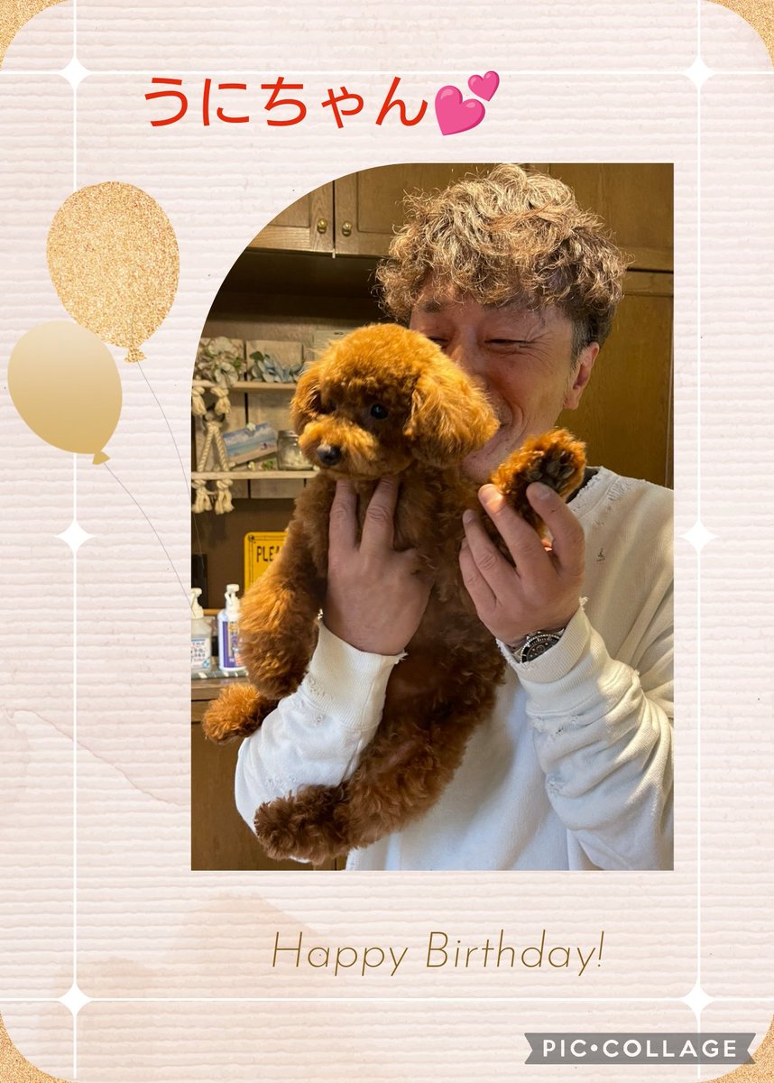 teecco1's tweet photo. @joe59681 
うにちゃん
お誕生日おめでとう🎉🎉🎂
いつもかわいいうにちゃん💕
優しいパパさんと
楽しい毎日を過ごしてね https://t.co/XHFcD4pPr5