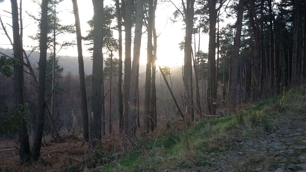 MOHAWK_RETRO's tweet photo. Check out #Camping #Woodland #Walks #trekking #NatureIsMagic #NatureLearning #Smock 180/104 #L #Waterproof #DPM #BritishArmy #Goretex #Camo #Jacket #Coat #NEW π²π²π³π²β
οΈπ¦οΈποΈ https://t.co/v0xpTJwfnJ #eBay via @eBay_UK https://t.co/kBkyGPJ4Qn