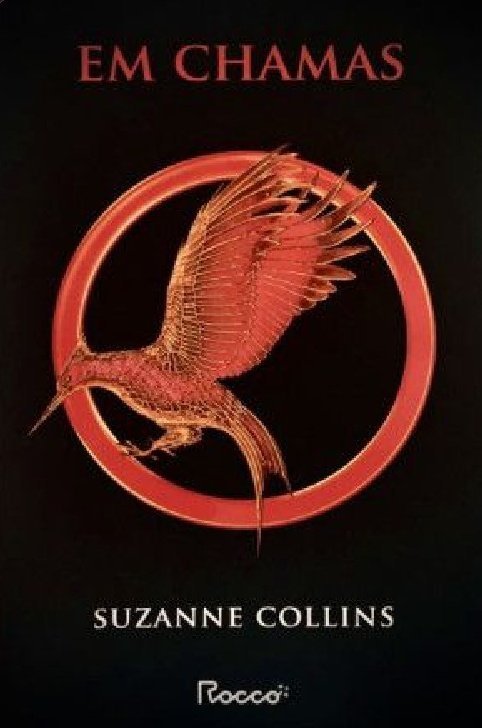 Euhenryvieira's tweet photo. Eu quando sou os dois melhores livros e filmes de jogos vorazes https://t.co/iInZ69bGAx
