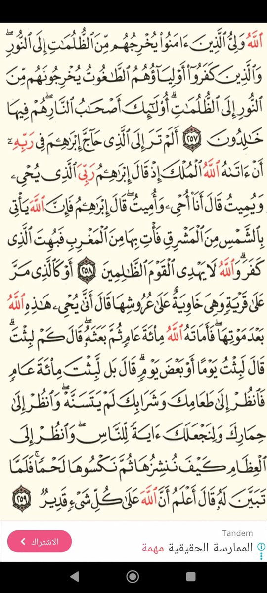 Fatimasayg's tweet photo. https://t.co/Xy9j8UhYRe