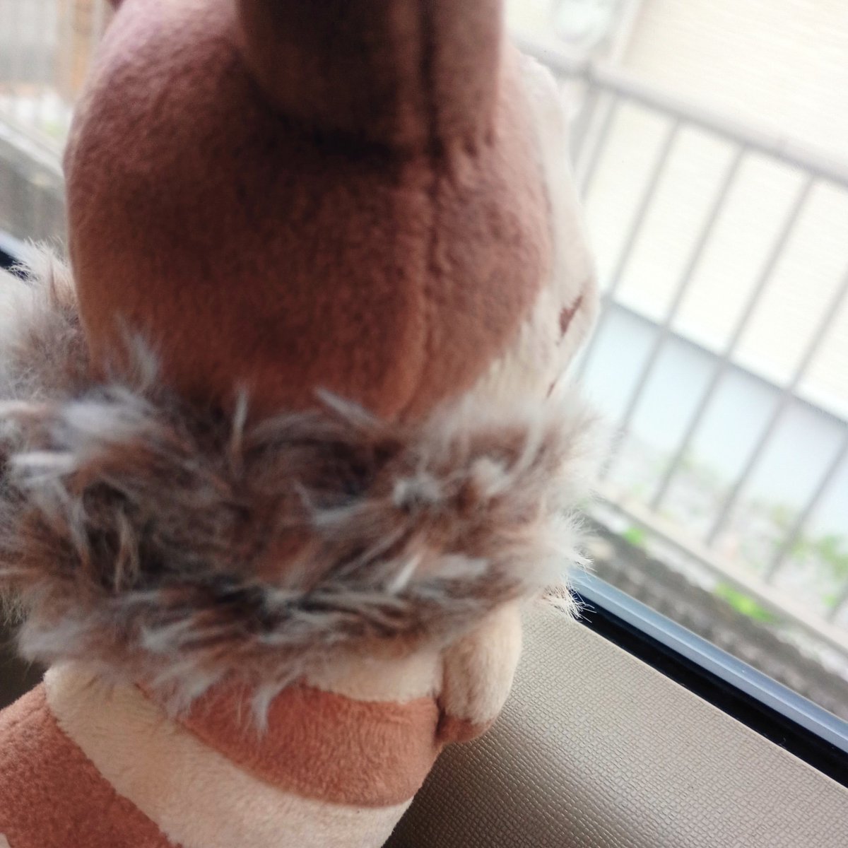 OtterCheerS's tweet photo. 今日ちょっと寒いね？

🟧ふかふか！ https://t.co/dEEtMPMiwI