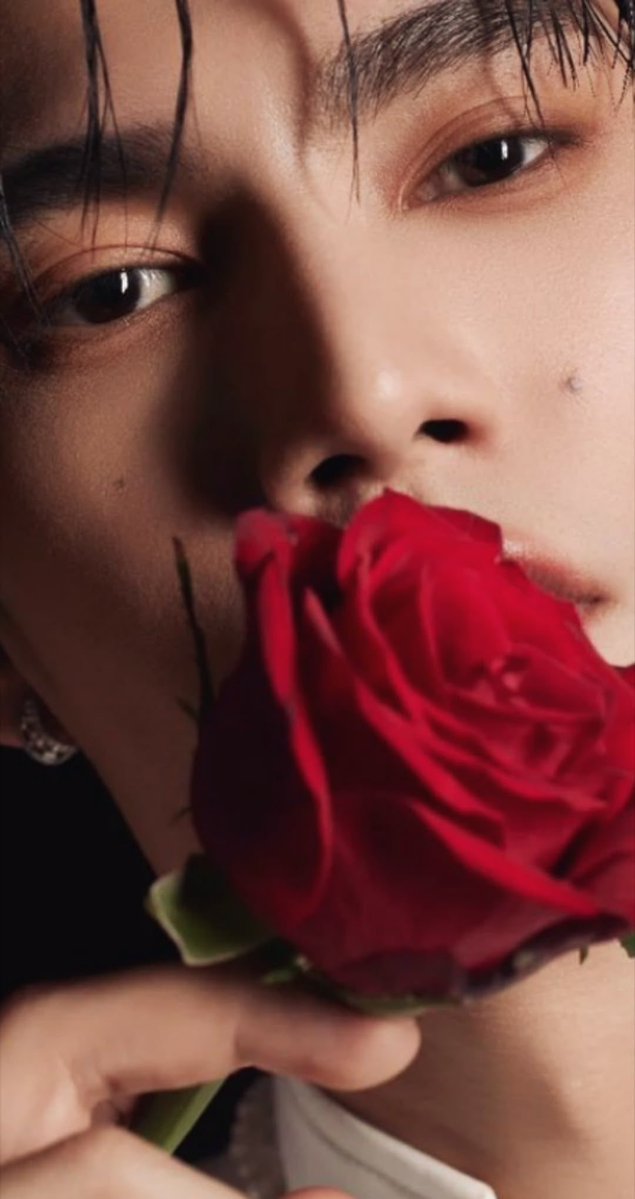 binxwinks's tweet photo. i love when they have photoshoots with flowers       

𓍯𓂃𓏧♡

#ppoohkt #pavelphoom
#BabeHooPers #poohpavel

             papa                                             mama https://t.co/Zab9pLZulU