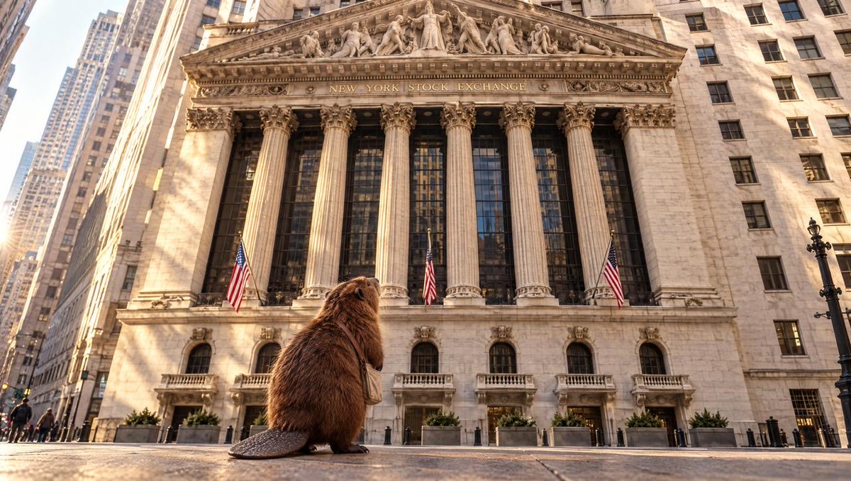 TryBeaver's tweet photo. 1/ Connect your bank

2/ Pick your roundup rule

3/ Top up with USDC or SOL

4/ Spend like you normally do

5/ Beaver 🦫 rounds up every expense into @xStocksFi https://t.co/k4lSQ0JGoo