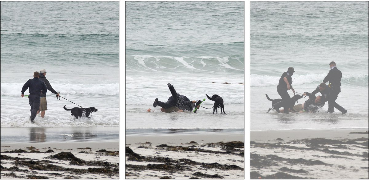 TheresaBuccola's tweet photo. @adamcarolla The Carmel Police also chased this tourist down the length of the shoreline for the Fourth of July weekend in 2020, and then slammed him face first into the surf for walking his dog on the beach: https://t.co/pkaLevVnTj
