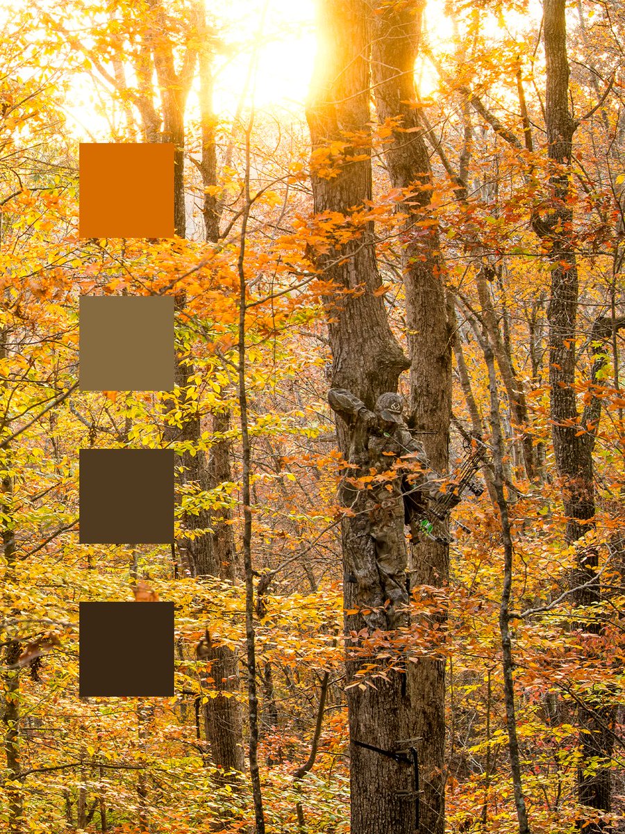 Realtree's tweet photo. The woods set the color palette. We just make sure you belong in it.

#Realtree #RealtreeAPX #RealtreeMAX7 #RealtreeLegacy https://t.co/LO4euhPOG8