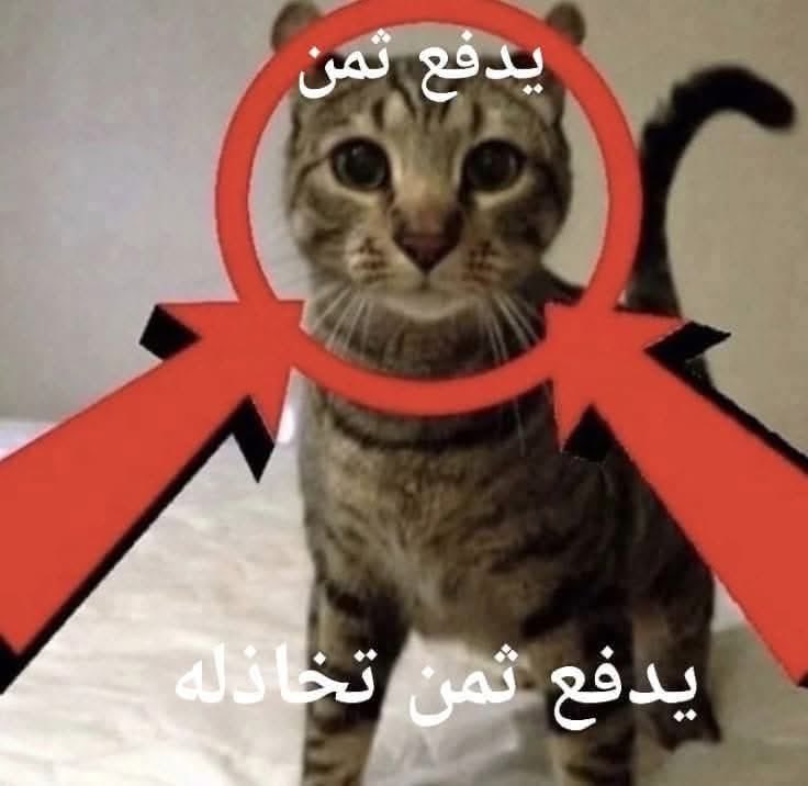 iam____lucifer's tweet photo. 😩 https://t.co/qEbFhCSs6o
