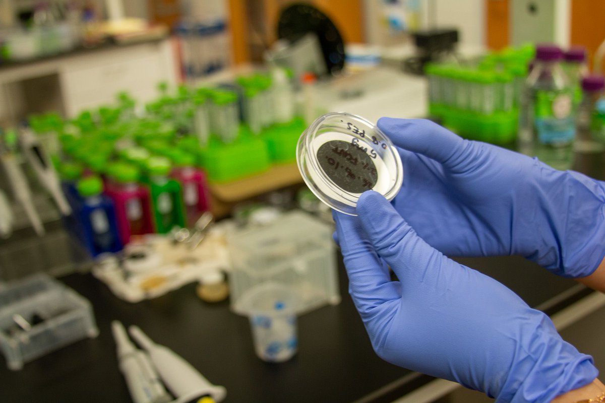 TxWRI's tweet photo. Can electricity help create cleaner water?

Wensi Chen, Ph.D., an assistant professor @TAMU, is driving research to answer this question. 
 
Learn about Chen's journey and her current work to create new ways to improve water quality: https://t.co/kJATt9CQDw https://t.co/5R7eeMmwHl