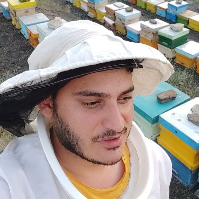 Sozhinv's tweet photo. 🍯🐝💛 https://t.co/r3NhM7RISU