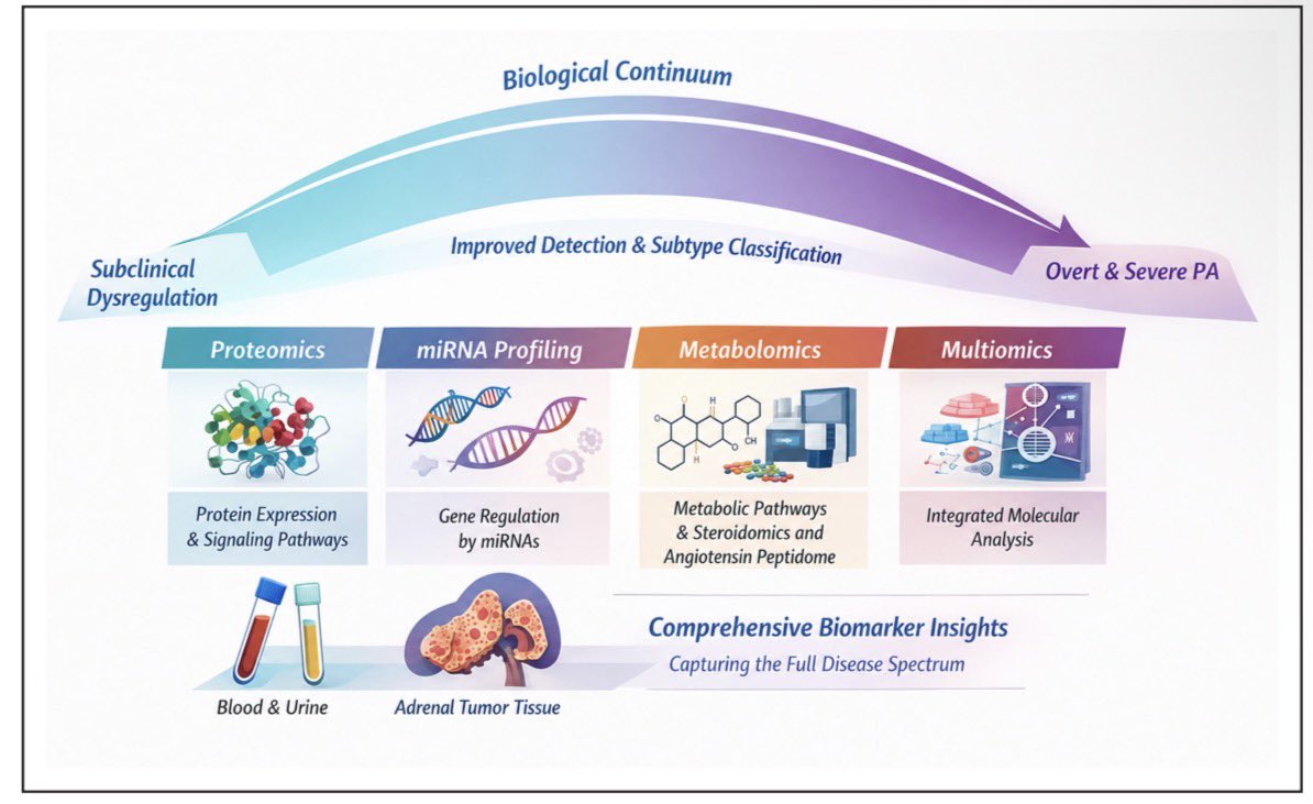 JonathanNefro's tweet photo. Debido a que el diagnóstico confirmatorio del hiperaldosteronismo primario es complejo y engorroso, se han diseñado nuevos biomarcadores que faciliten su abordaje. Aquí los más avanzados

Hypertension 2026
10.1161/HYPERTENSIONAHA.126.26233 https://t.co/phc4vTtZxq