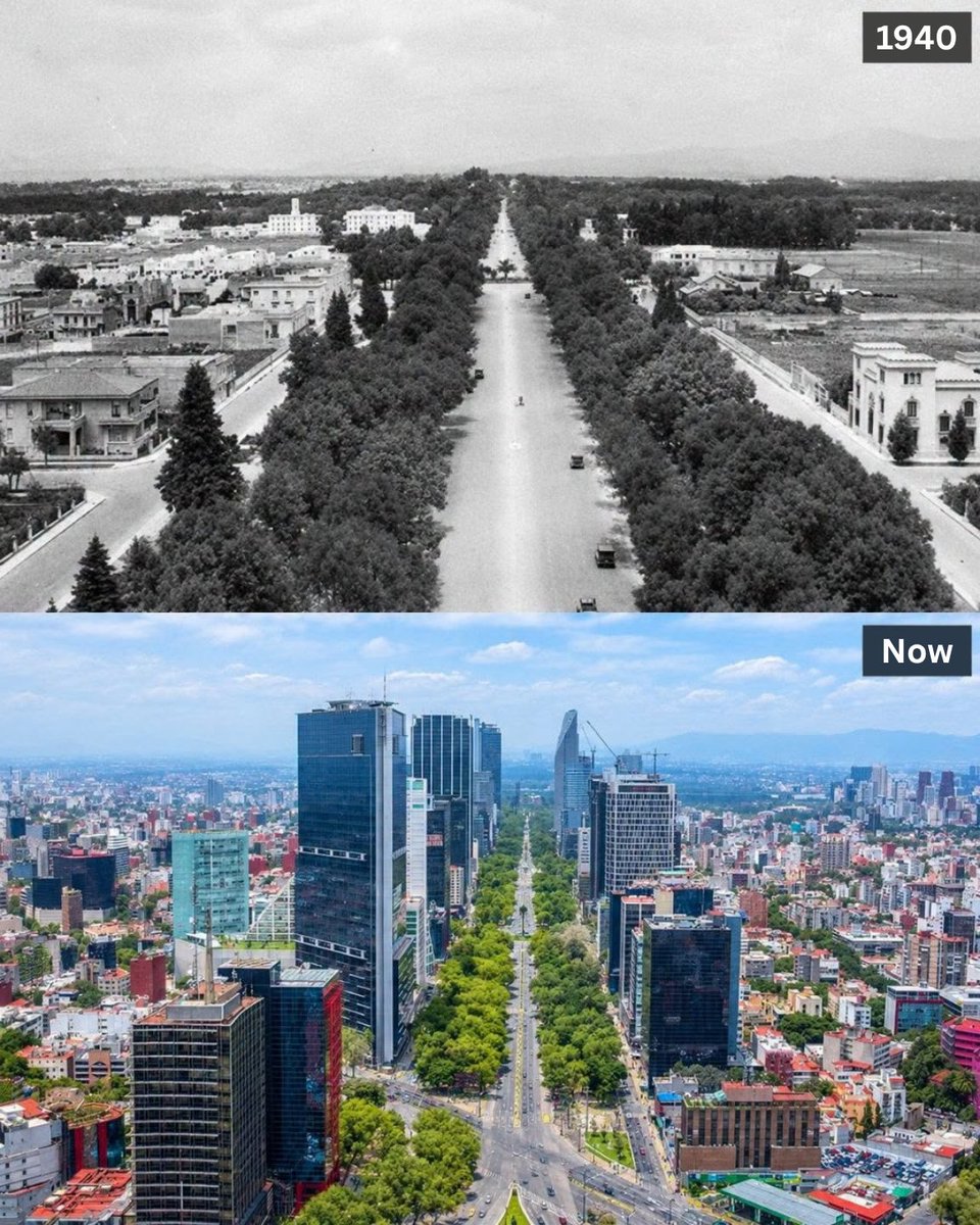 Civixplorer's tweet photo. The transformation of Paseo de la Reforma, Mexico City 🇲🇽 https://t.co/fYaZCMHhSz