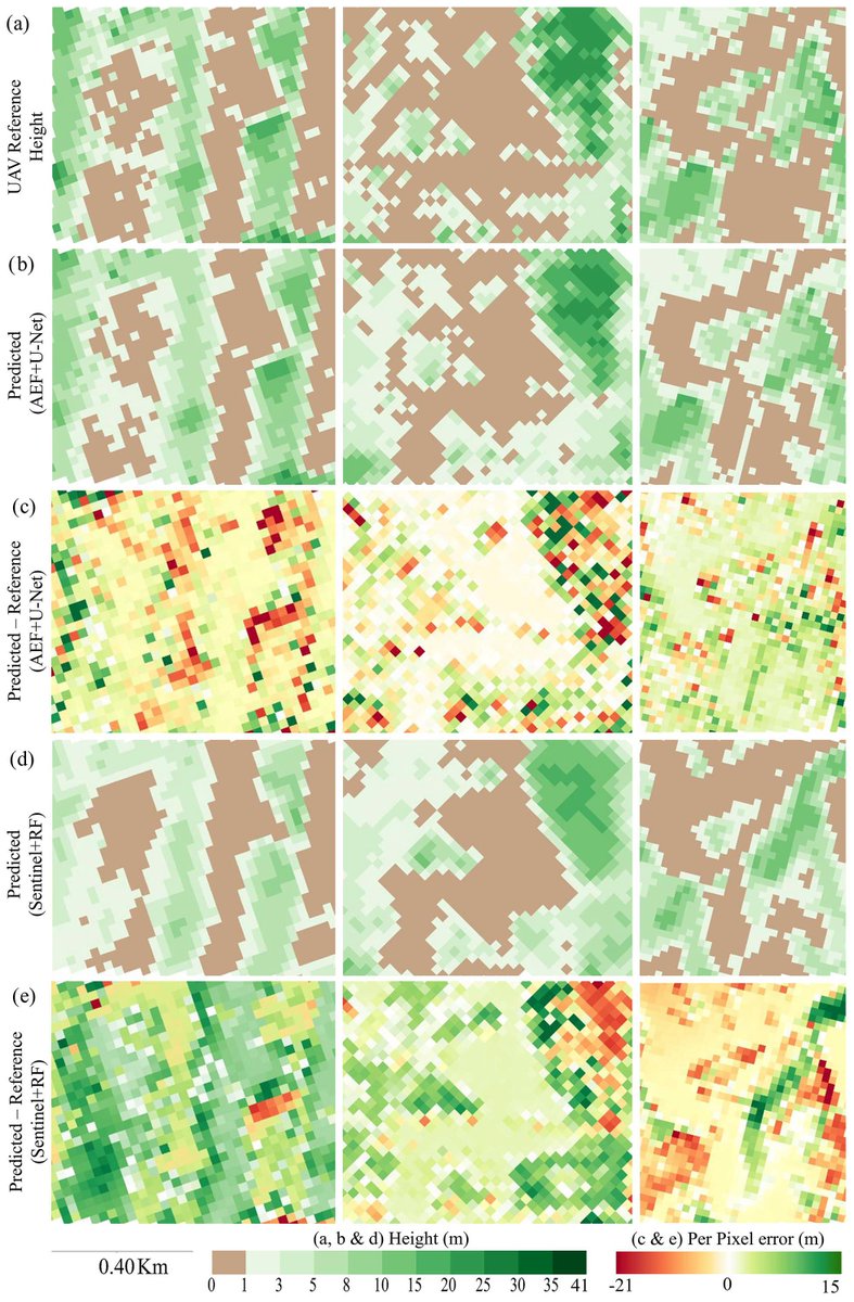 RModlinger's tweet photo. 📢NEW ARTICLE: AlphaEarth Foundations Provide Superior Accuracy in Vegetation Height Mapping Across Severely Disturbed Forest Areas #IEEE #remotesensing #disturbance #forest 
https://t.co/lScwm805lL https://t.co/K8lj85ZHgG