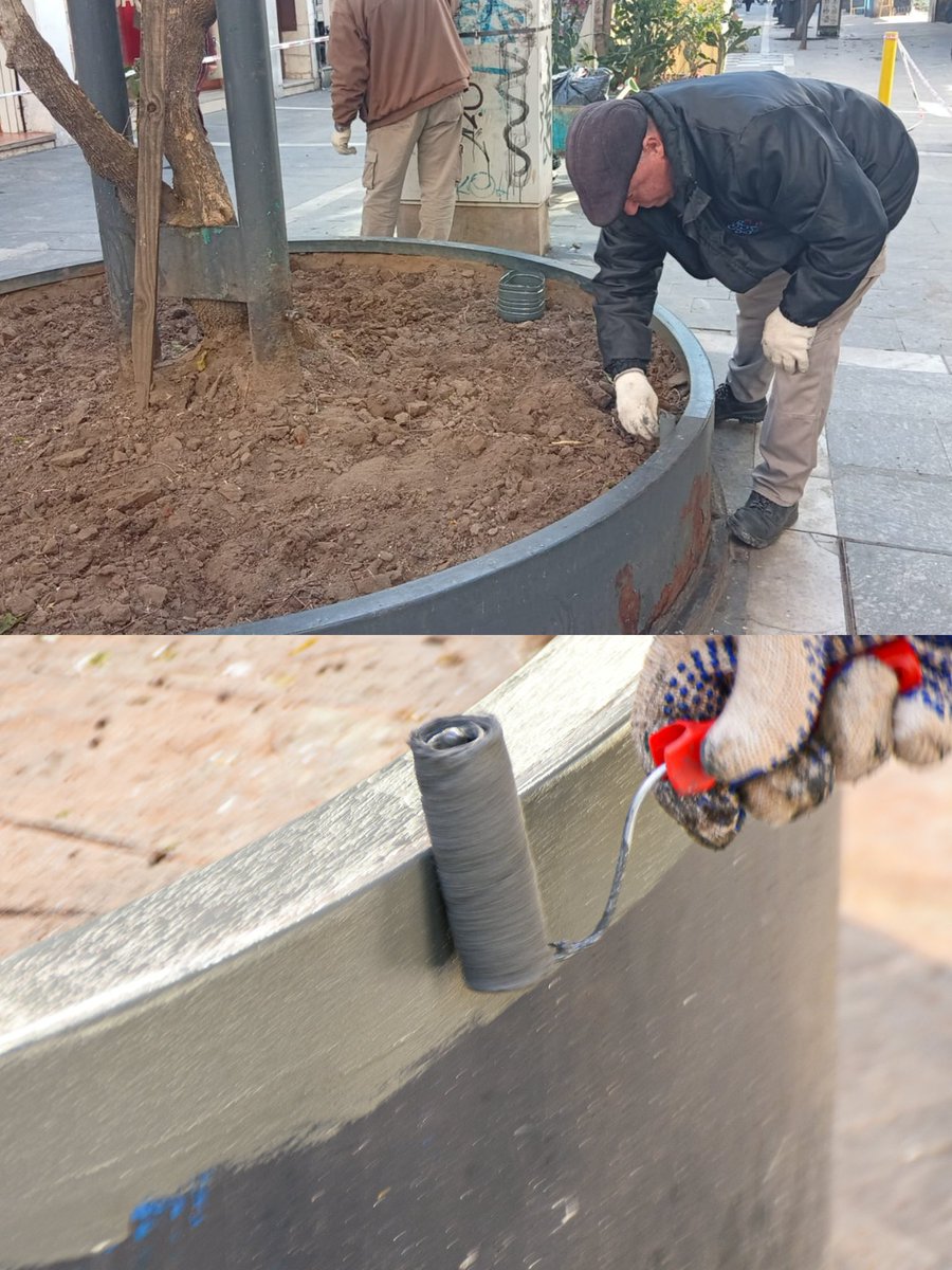 acarolinamartin's tweet photo. 🌿 Seguimos poniendo en valor el Área Central

Continuamos trabajando en nuestras calles peatonales para que cada espacio esté más ordenado, seguro y cuidado.

En calle 9 de Julio, del 200 al 400, realizamos tareas de poda y despeje, retirando ramas secas de las Santa Rita. 🌿✂️ https://t.co/LWOG7yEG79